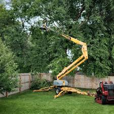 Best Arborist Consultation Services  in Martinsburg, WV
