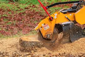 Best Weed Control  in Martinsburg, WV