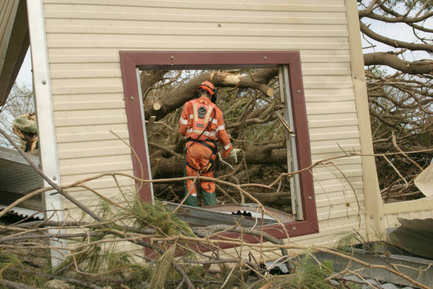 How Our Tree Care Process Works  in  Martinsburg, WV