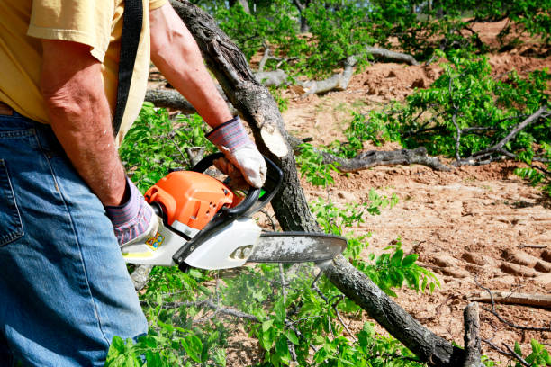 Lawn Grading and Leveling in Martinsburg, WV
